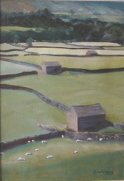 03 Swaledale 1