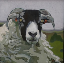 06 Swaledale Tup