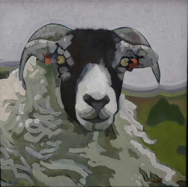 06 Swaledale Tup