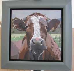 10 Inquisitive Cow 2