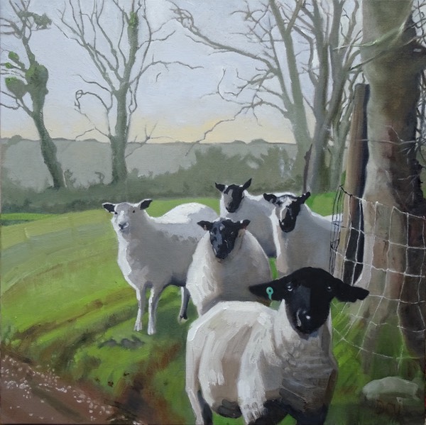 Sheep at Crach Gelli Fach